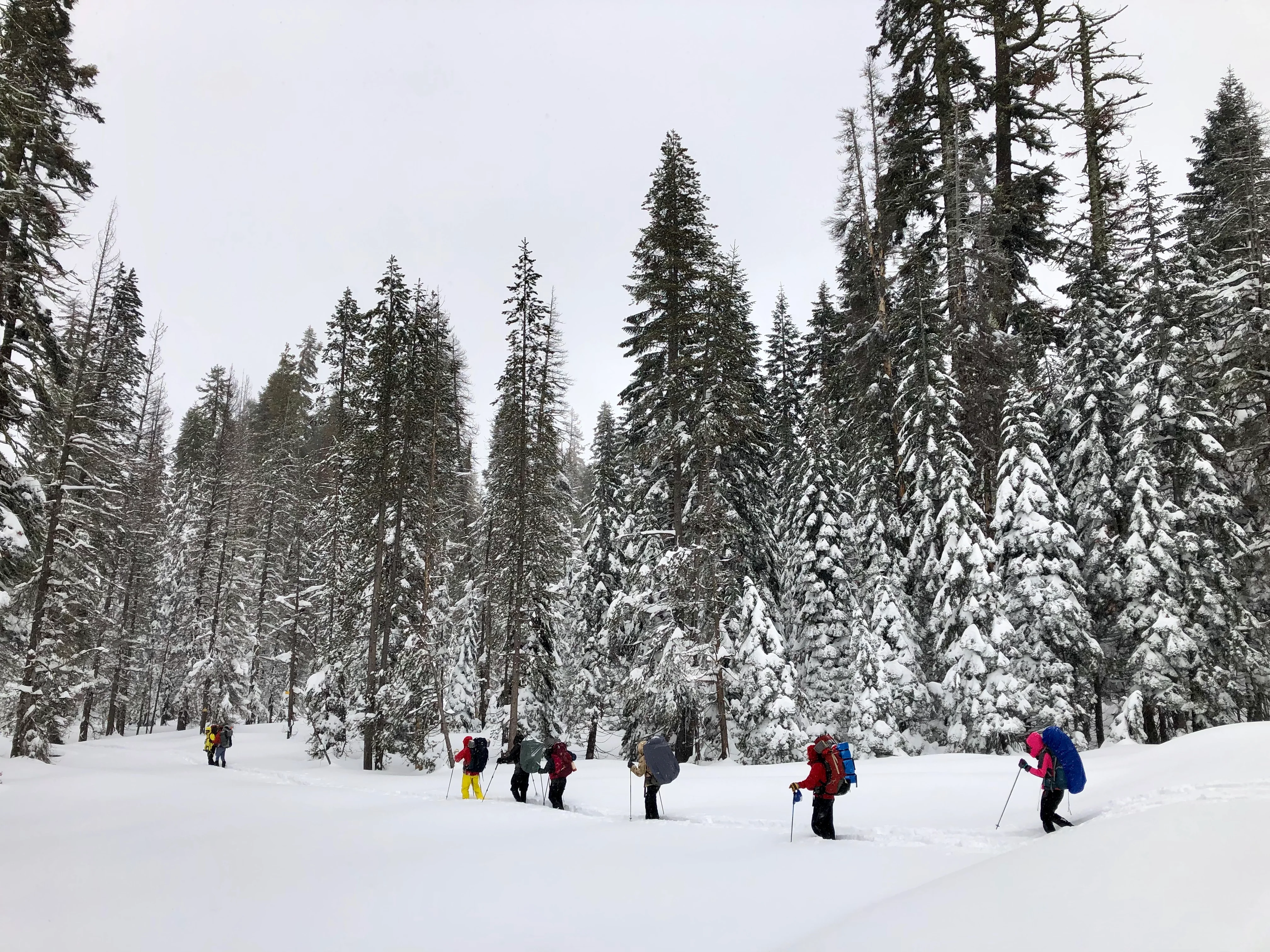Snowshoeing Yosemite: Valley Overlook - Image 2