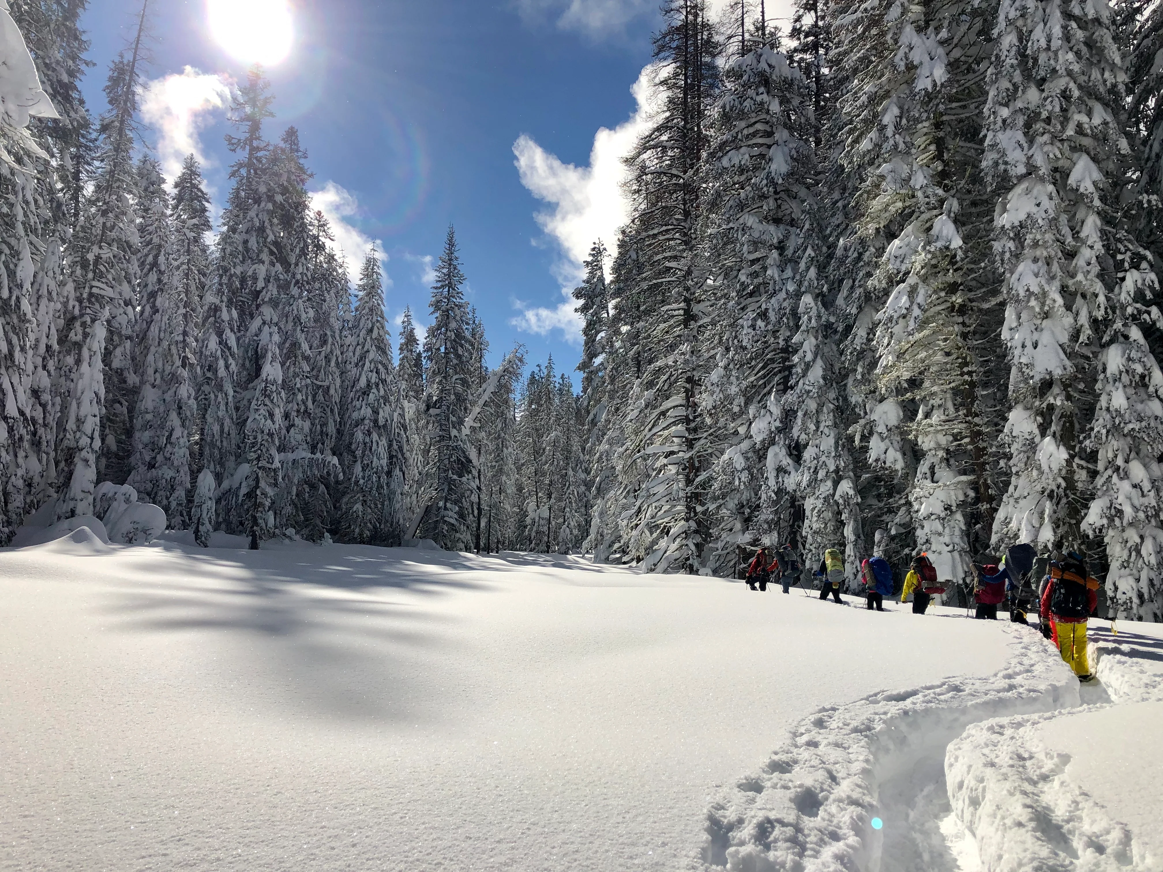 Snowshoeing Yosemite: Valley Overlook - Image 24