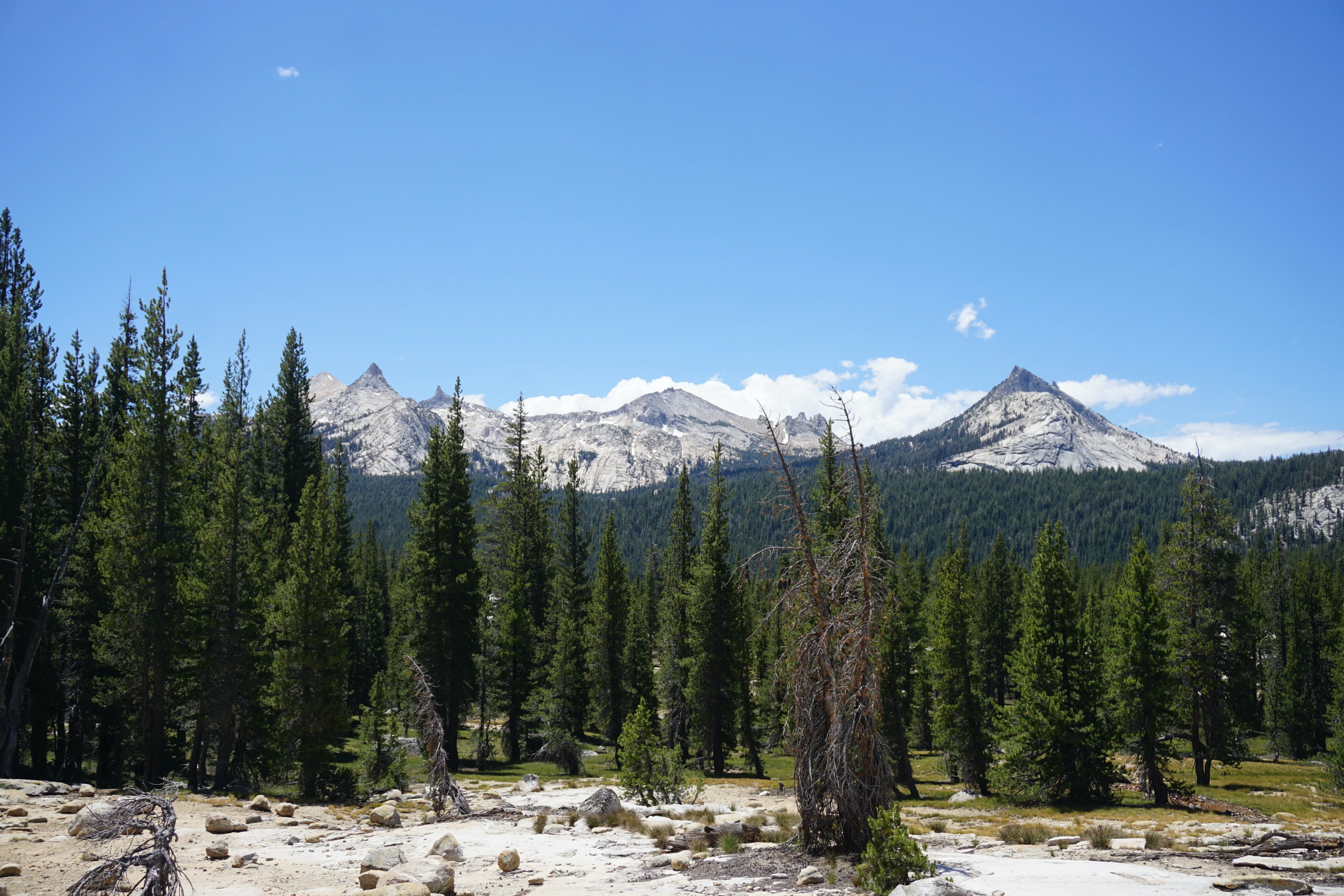 Backpacking Yosemite: Glen Aulin Pass Thru - Image 29
