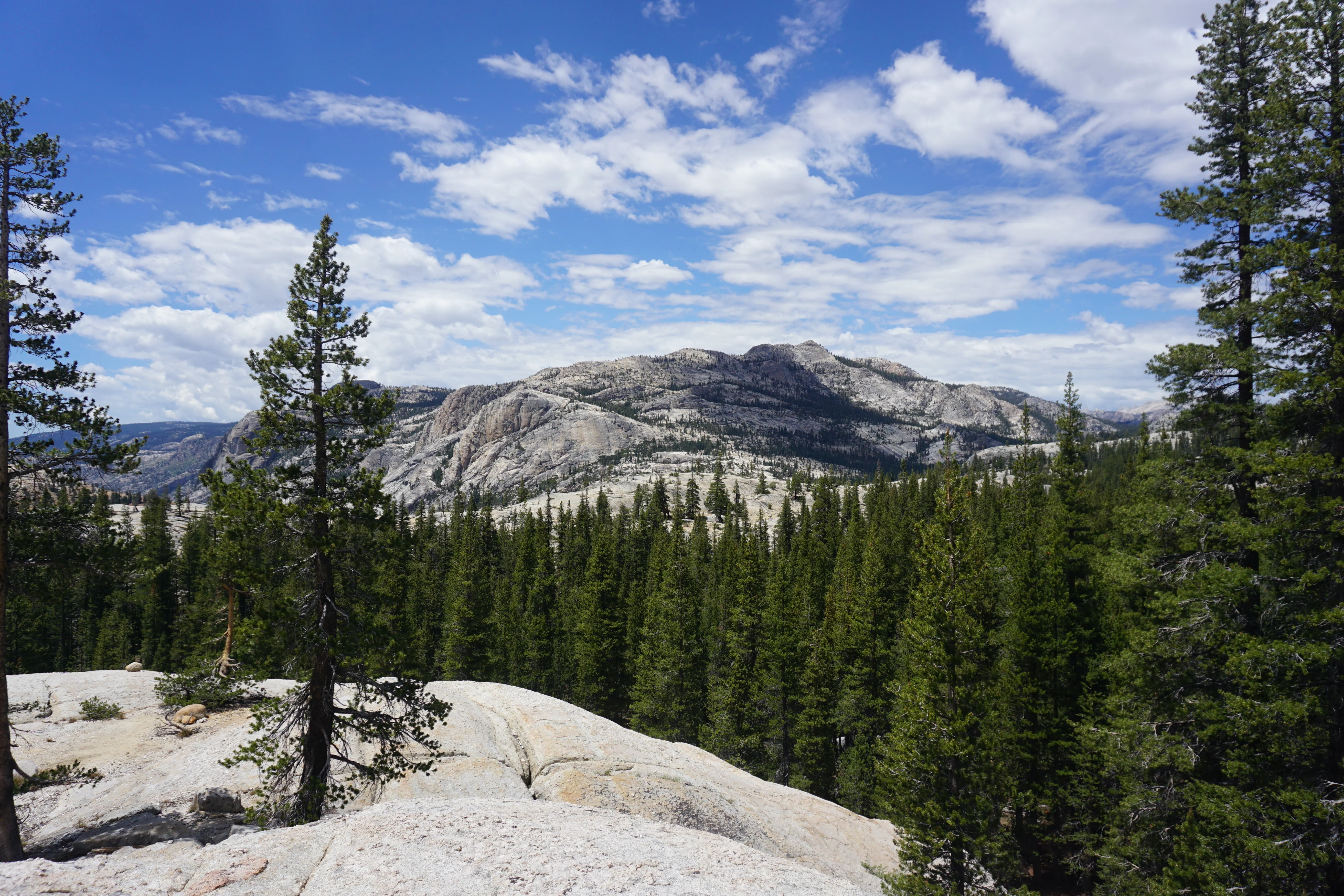 Backpacking Yosemite: Glen Aulin Pass Thru - Image 30