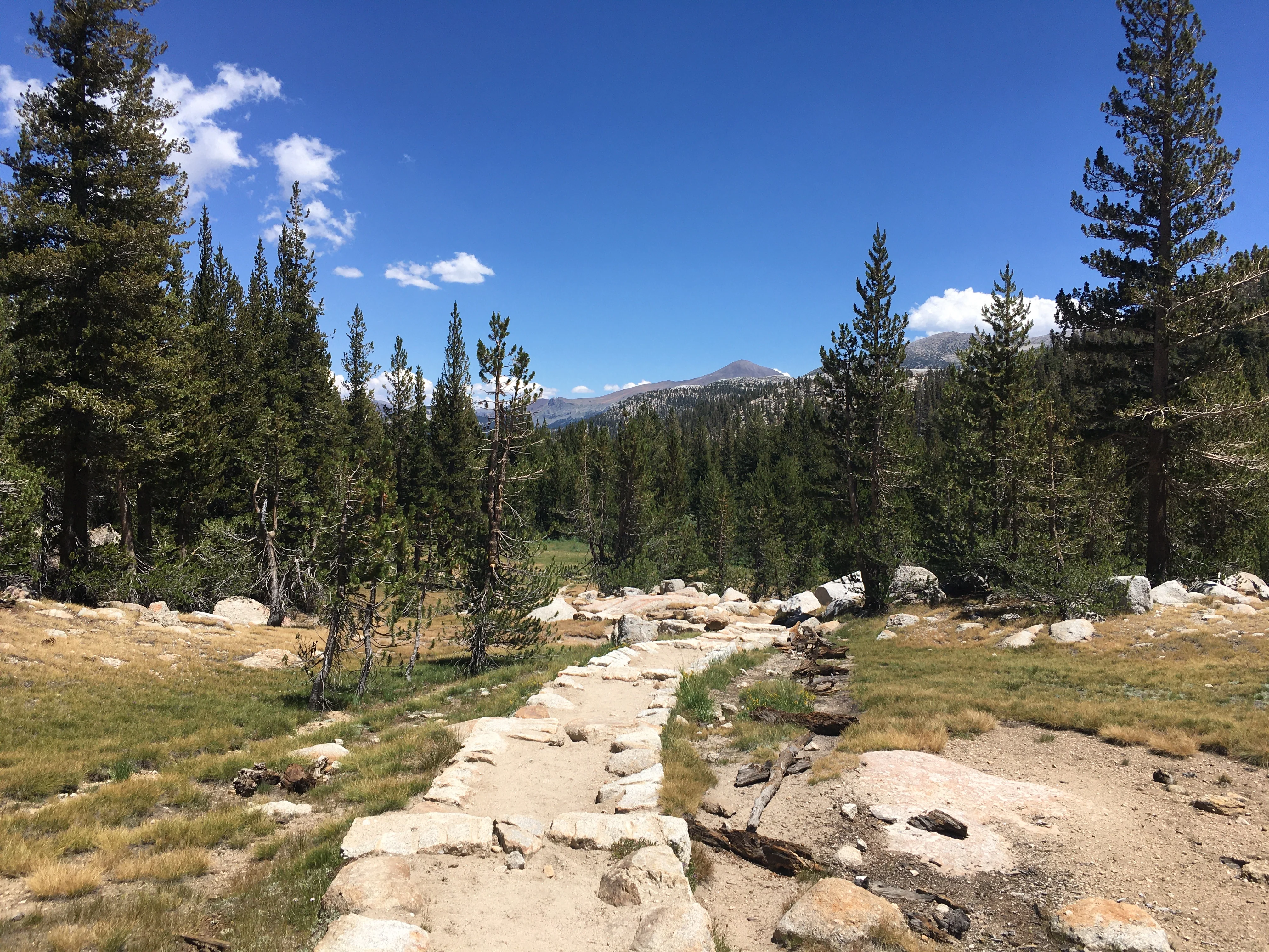 Backpacking Yosemite: Vogelsang - Image 10