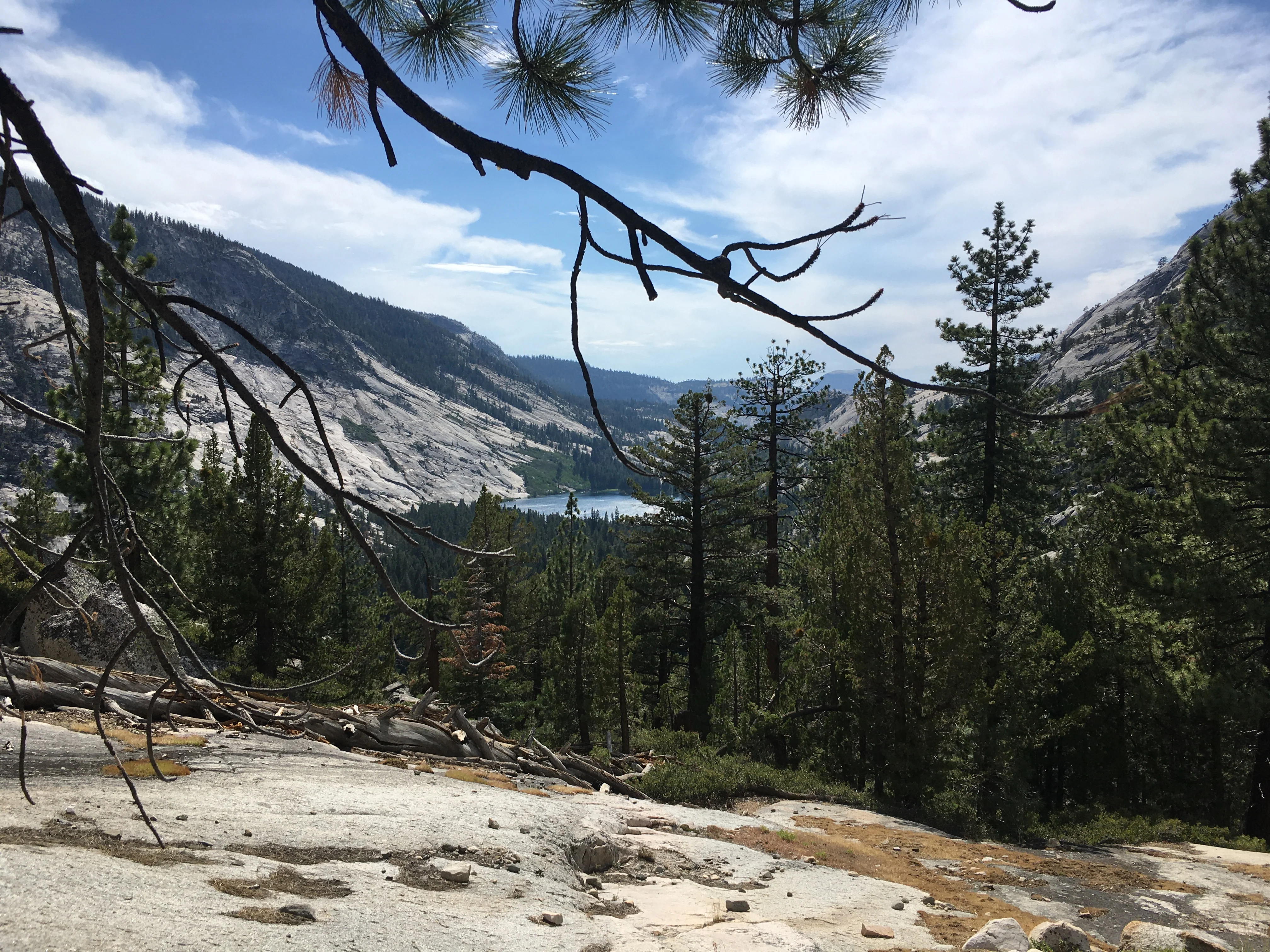 Backpacking Yosemite: Vogelsang - Image 4