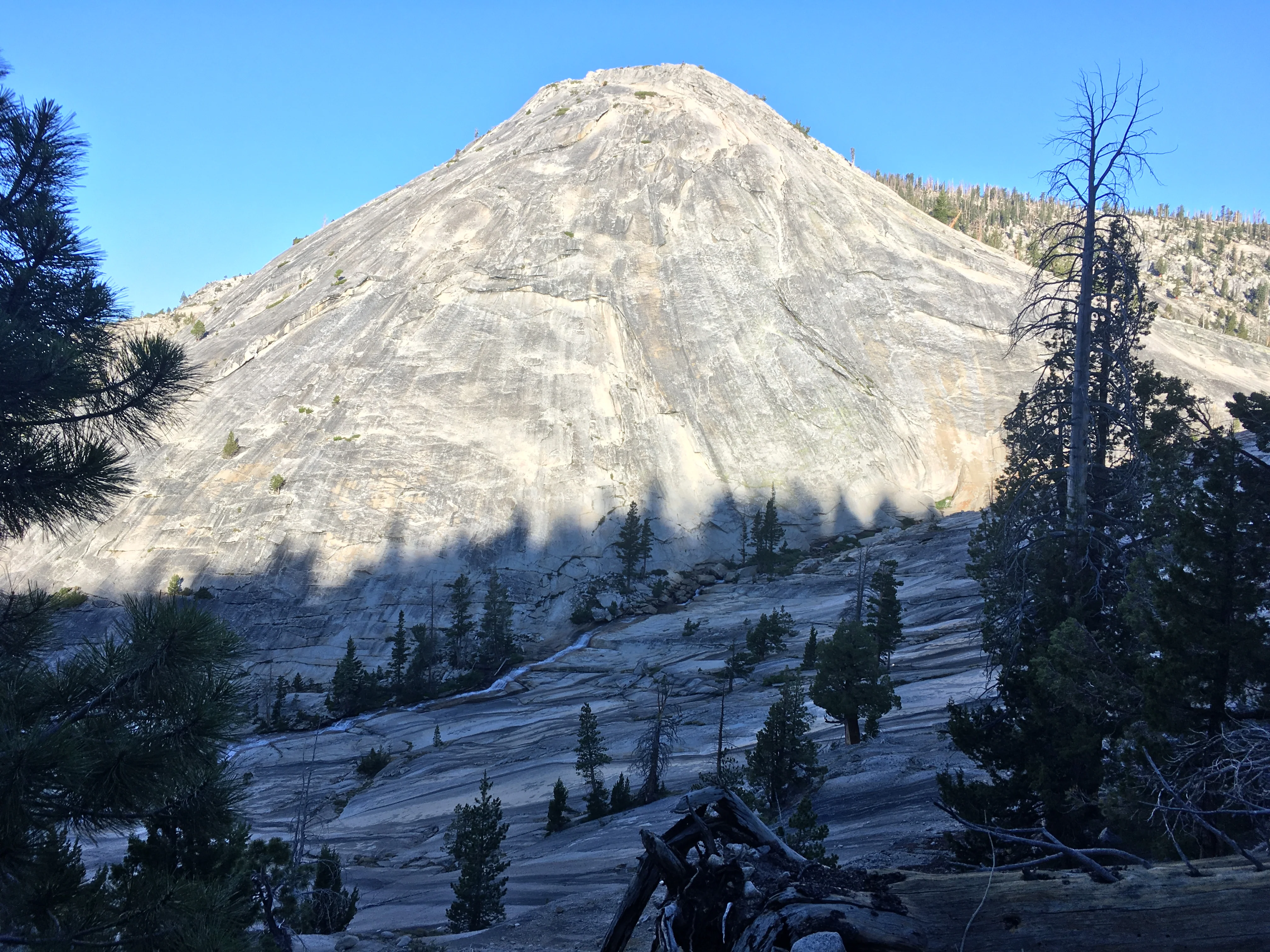 Backpacking Yosemite: Vogelsang - Image 6