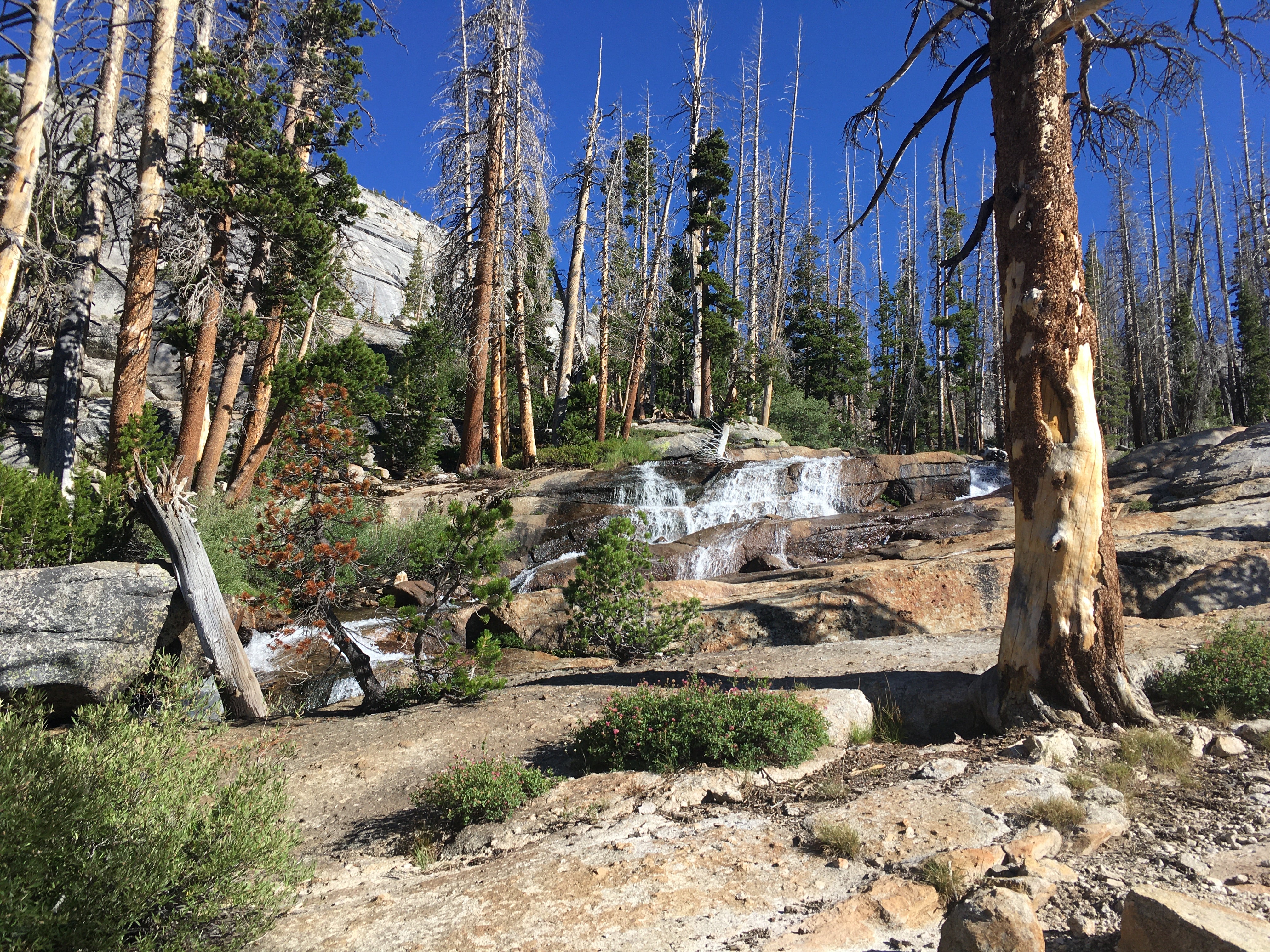Backpacking Yosemite: Vogelsang - Image 7