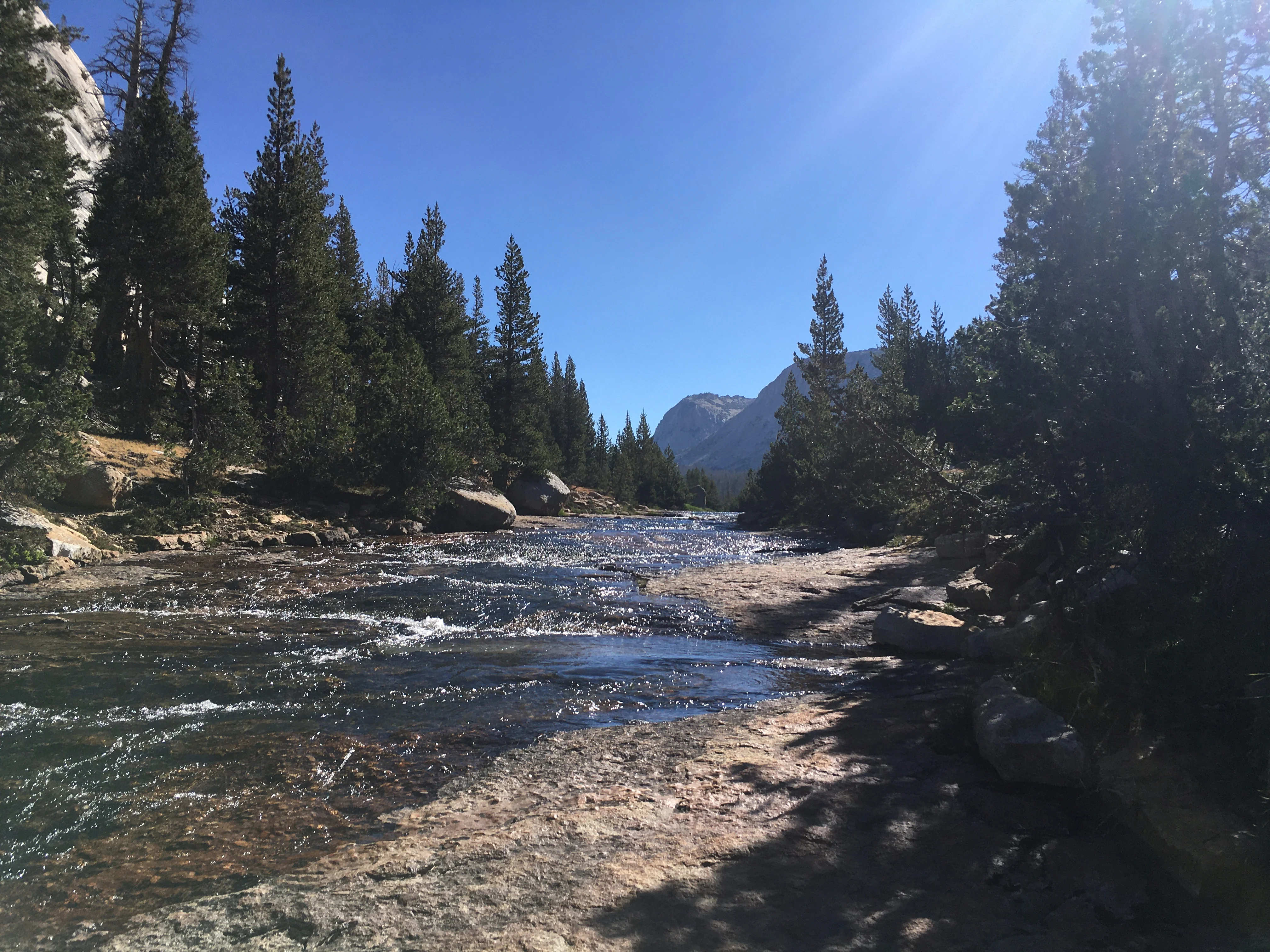 Backpacking Yosemite: Vogelsang - Image 8