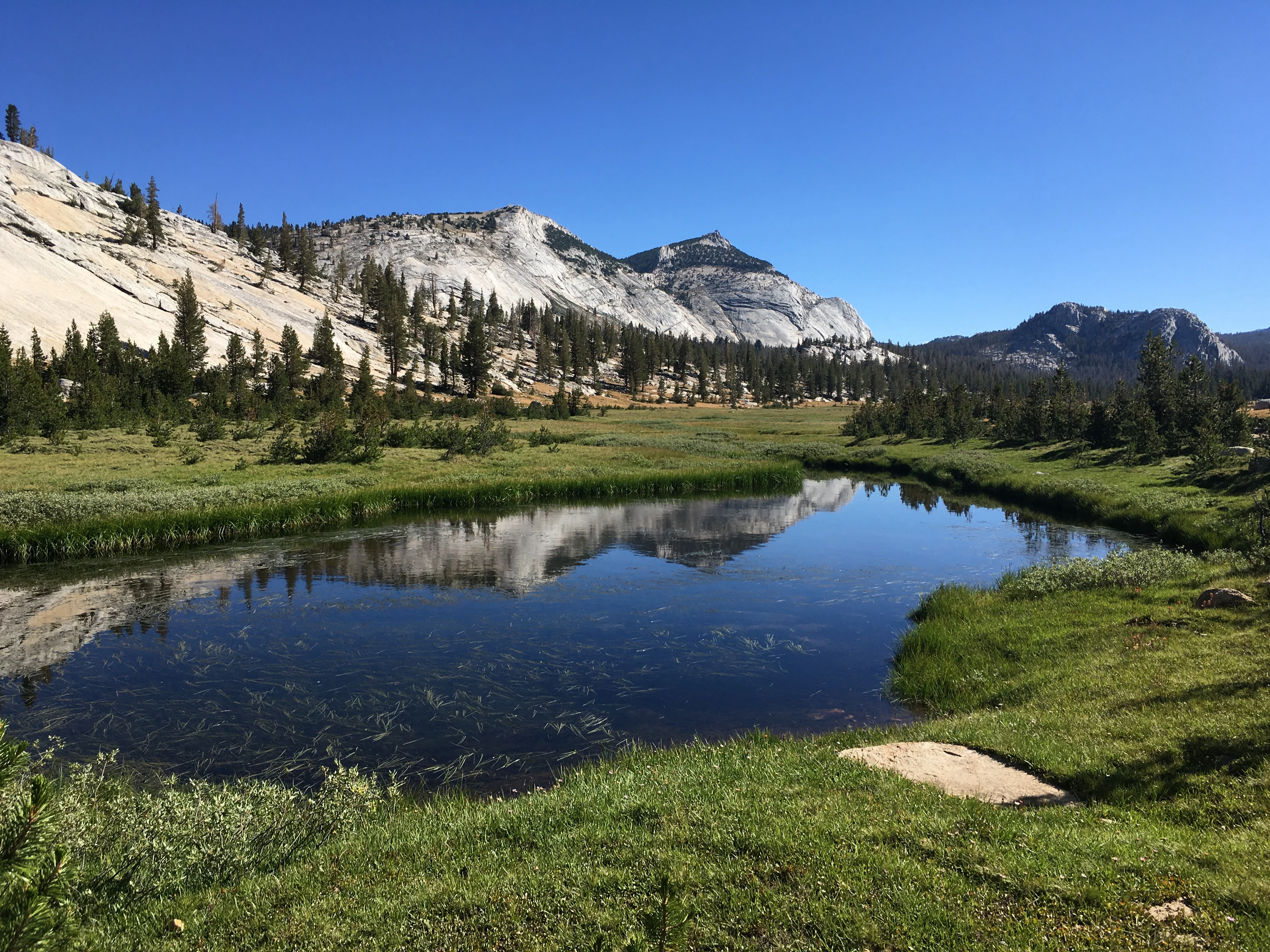 Backpacking Yosemite: Vogelsang - Image 9