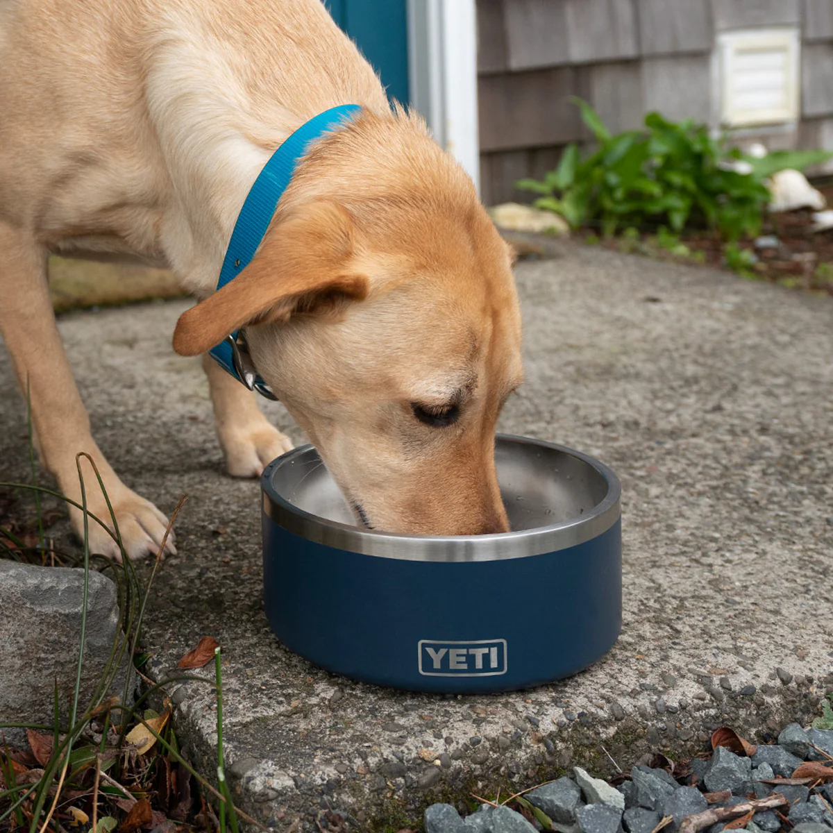 Boomer 4 Dog Bowl - Image 7
