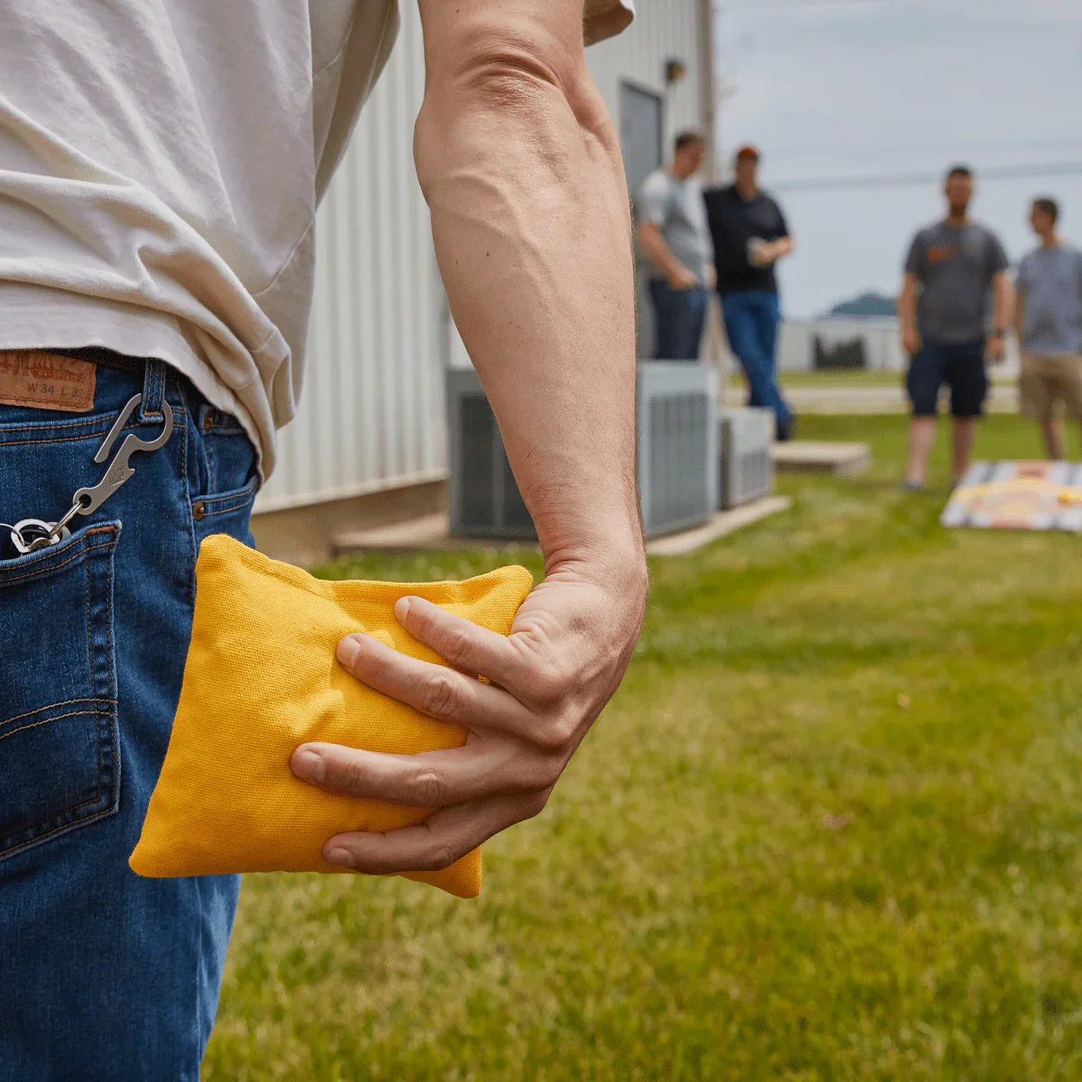 Daily 66x Cornhole Bags - Image 5