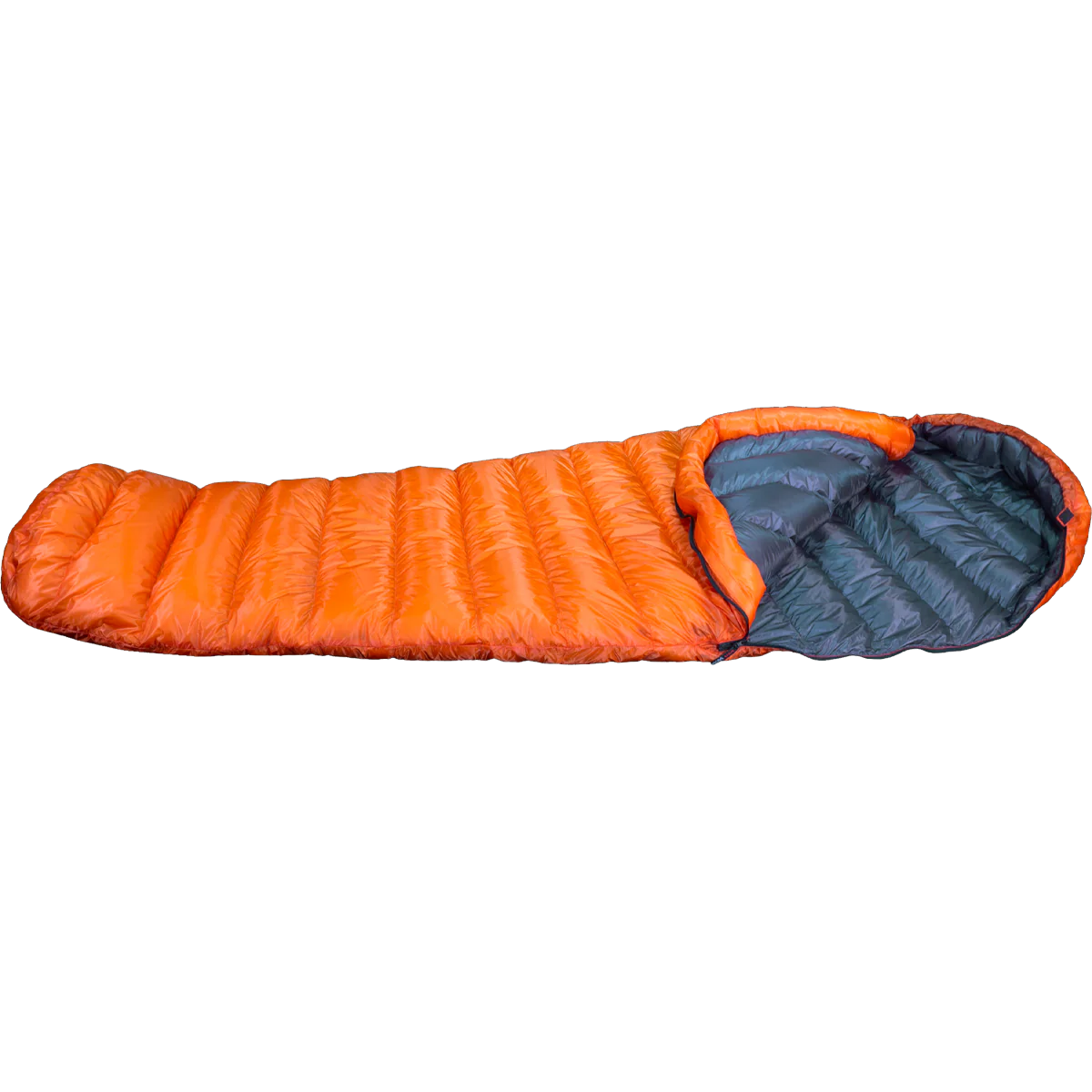 FlyLite 5'6" - Image 2