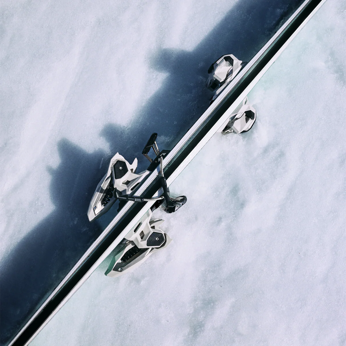 Griffon X 13 - Image 6