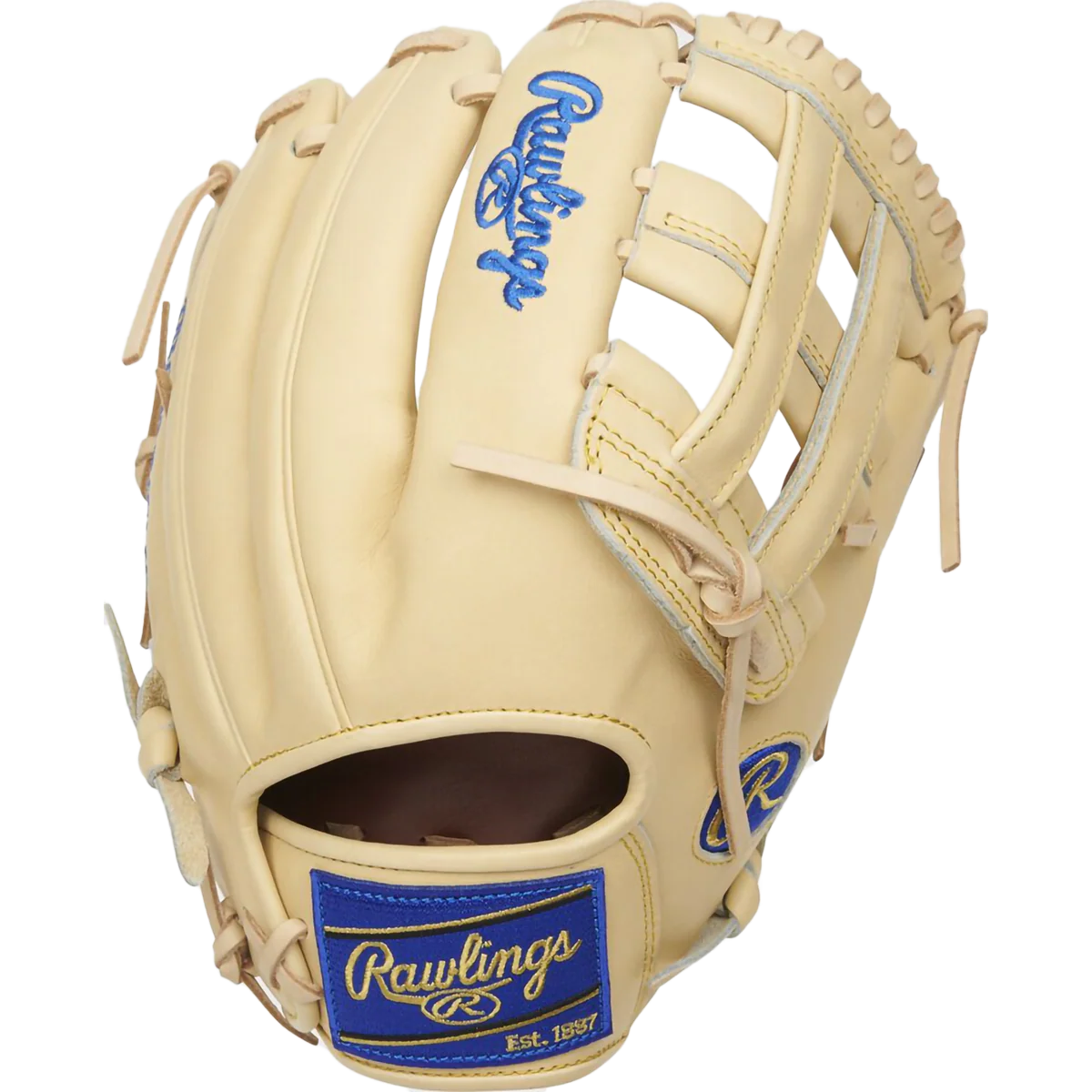 Heart of the Hide R2G Infield/Outfield - 12.25" Pro H-Web