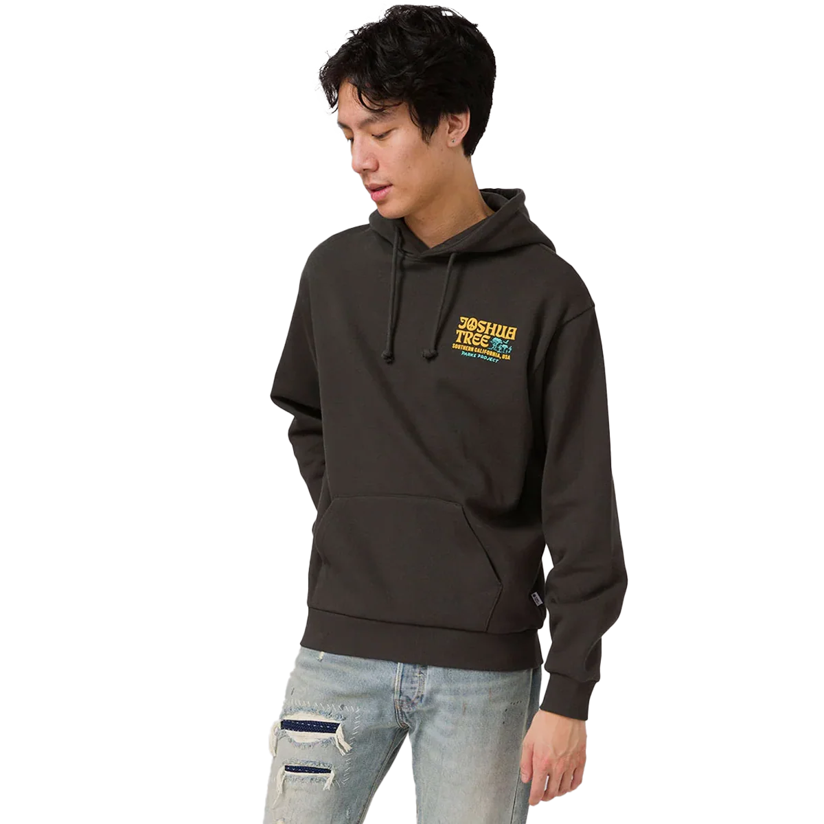 Joshua Tree DIY Hoodie - Image 2