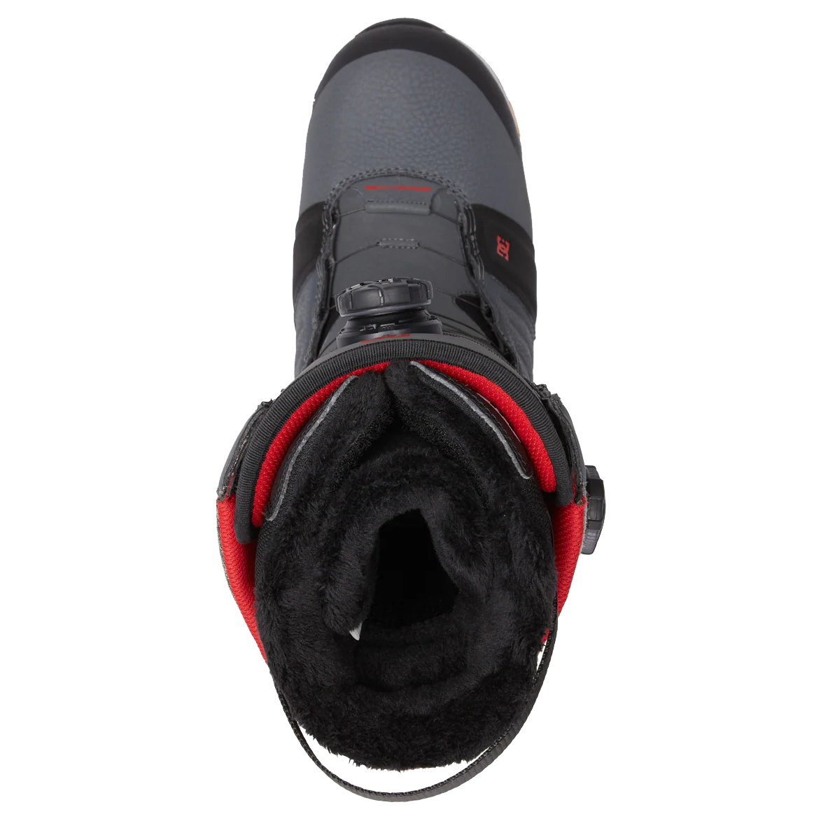 Judge - Image 6