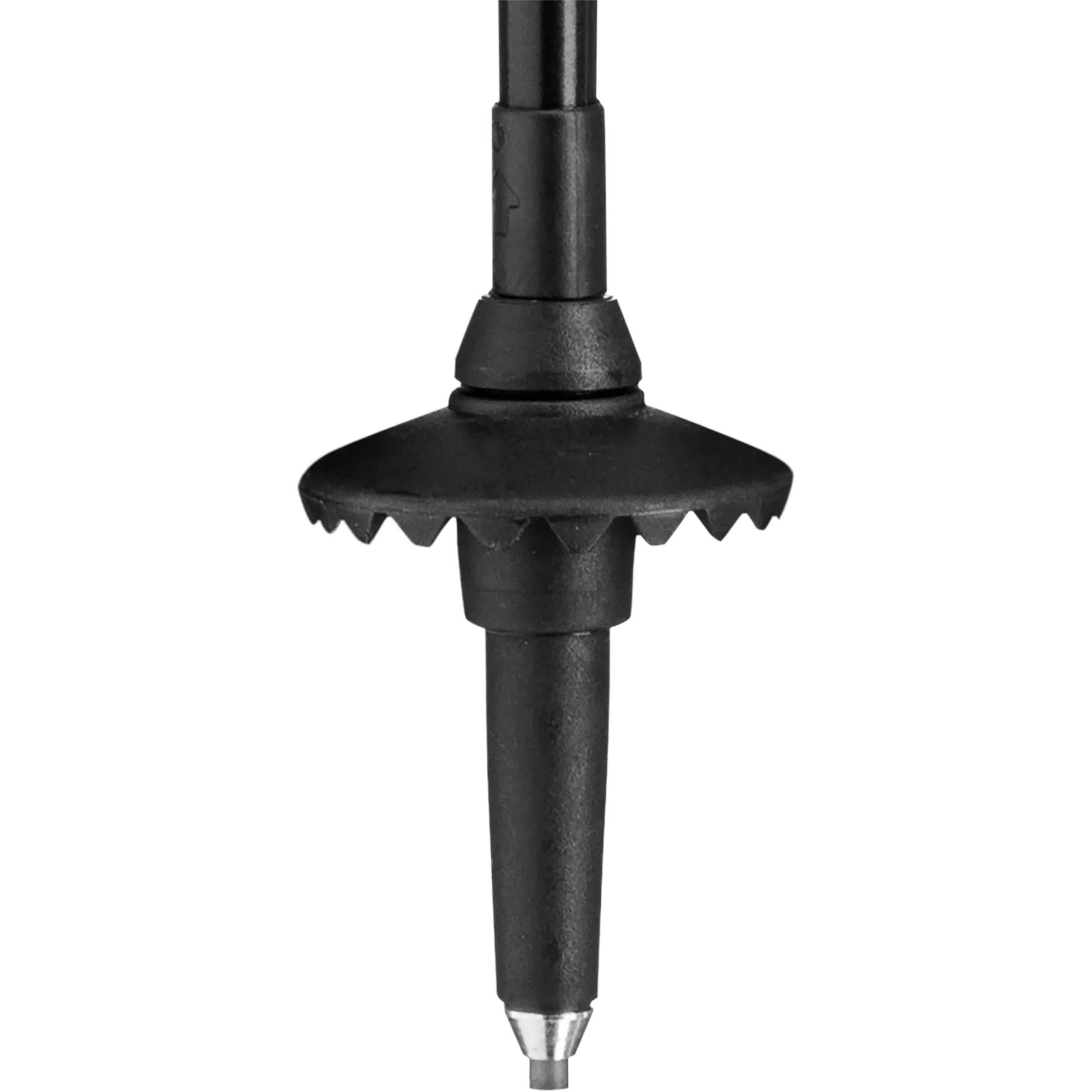 Legacy Lite - Image 5