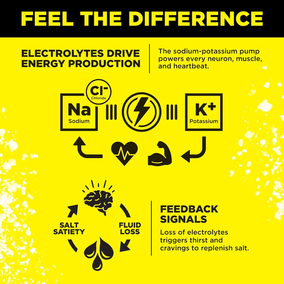 Zero-Sugar Electrolyte Drink Mix - Image 26