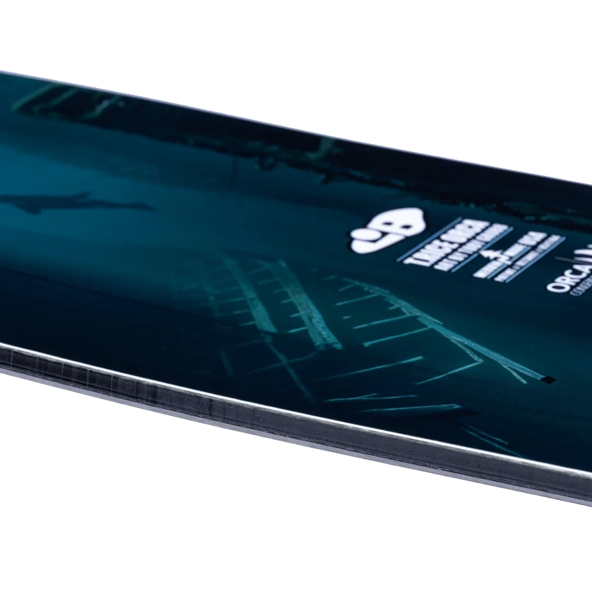 Orca - Image 4