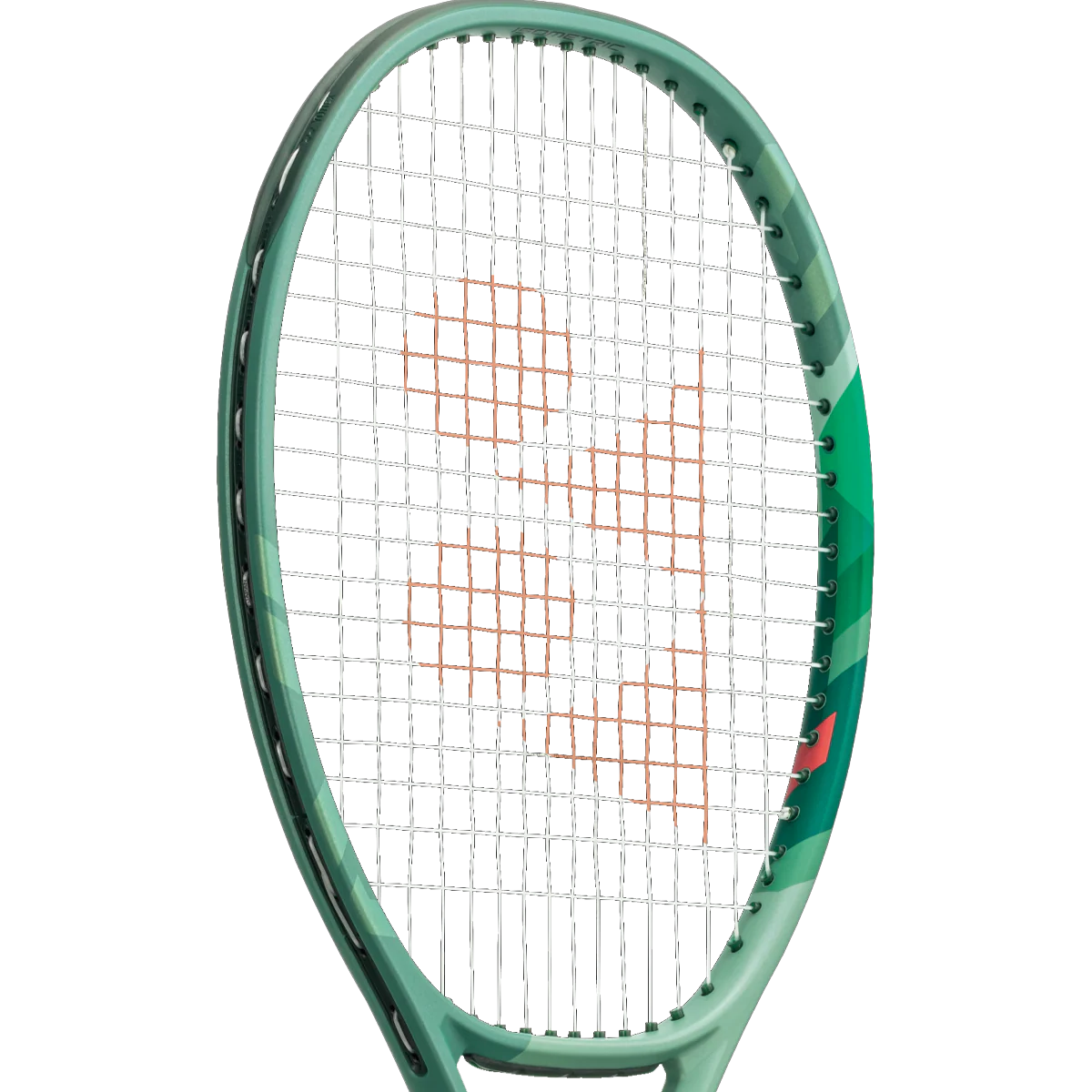 Percept 97 - Image 2