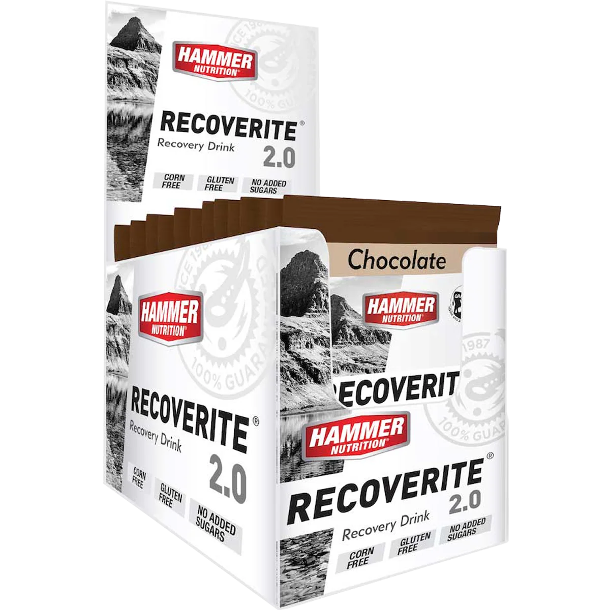 Recoverite 2.0 Single Serving - Image 2