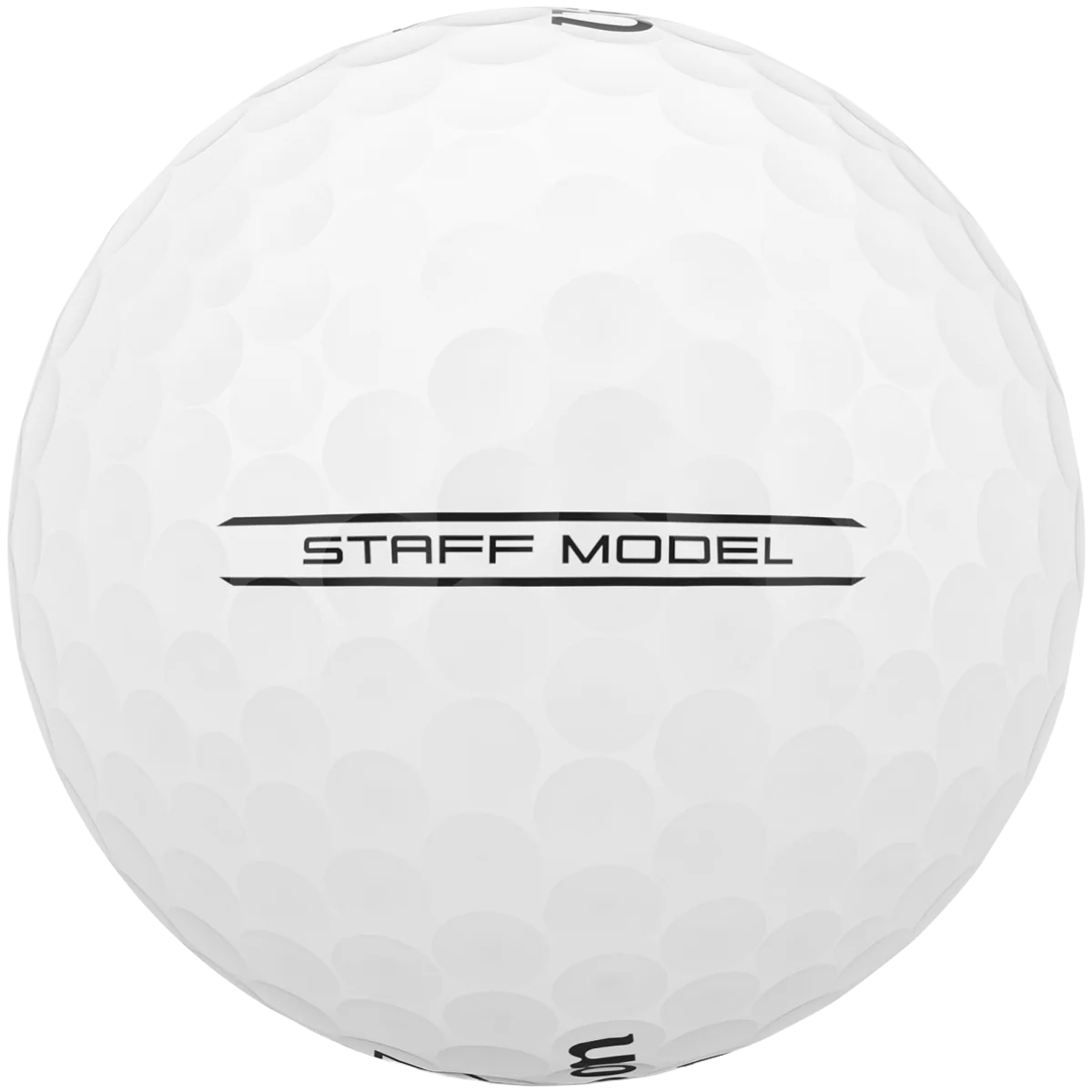 Staff Model - Image 2