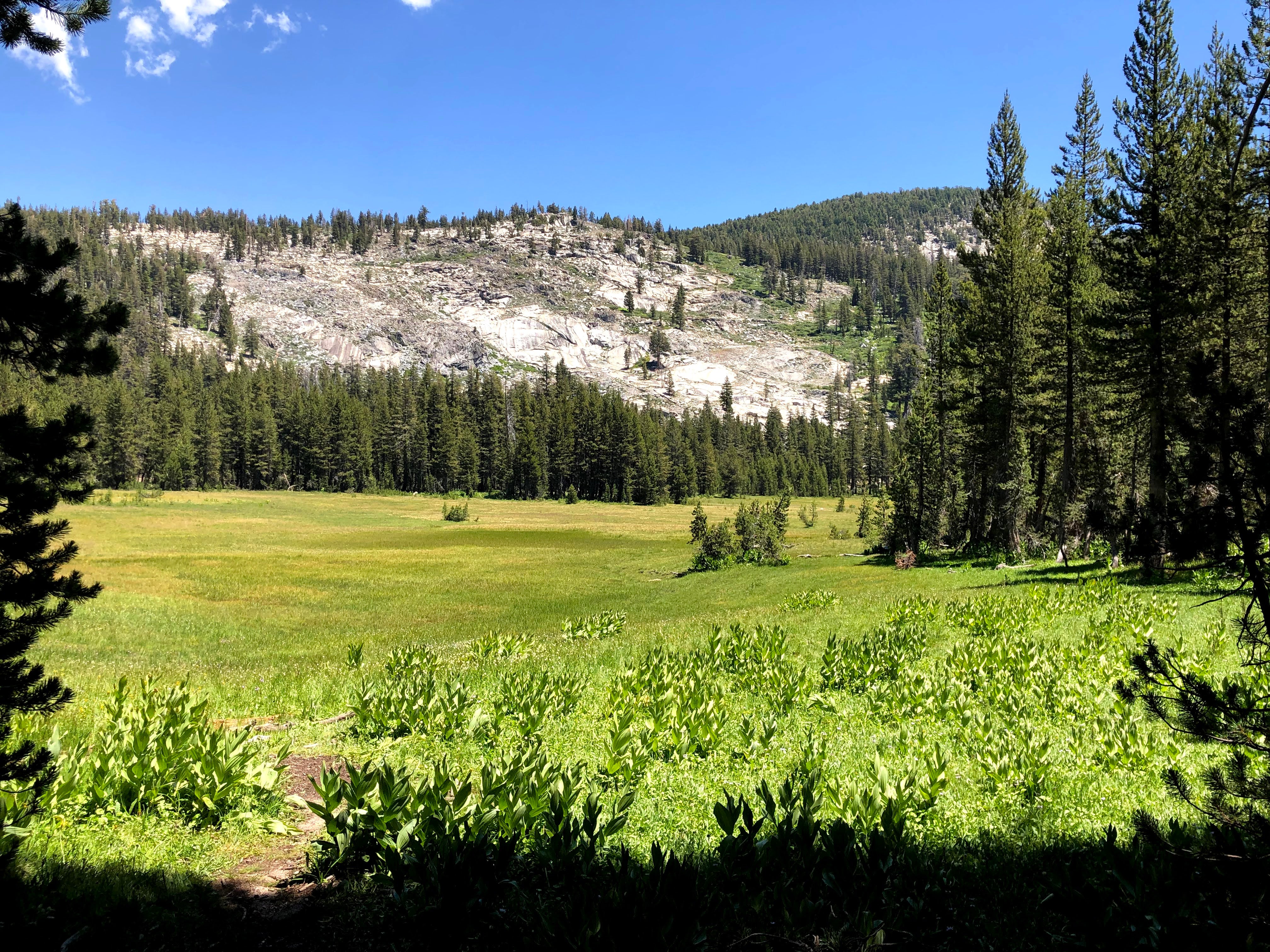 Backpacking Yosemite: Ten Lakes - Image 12