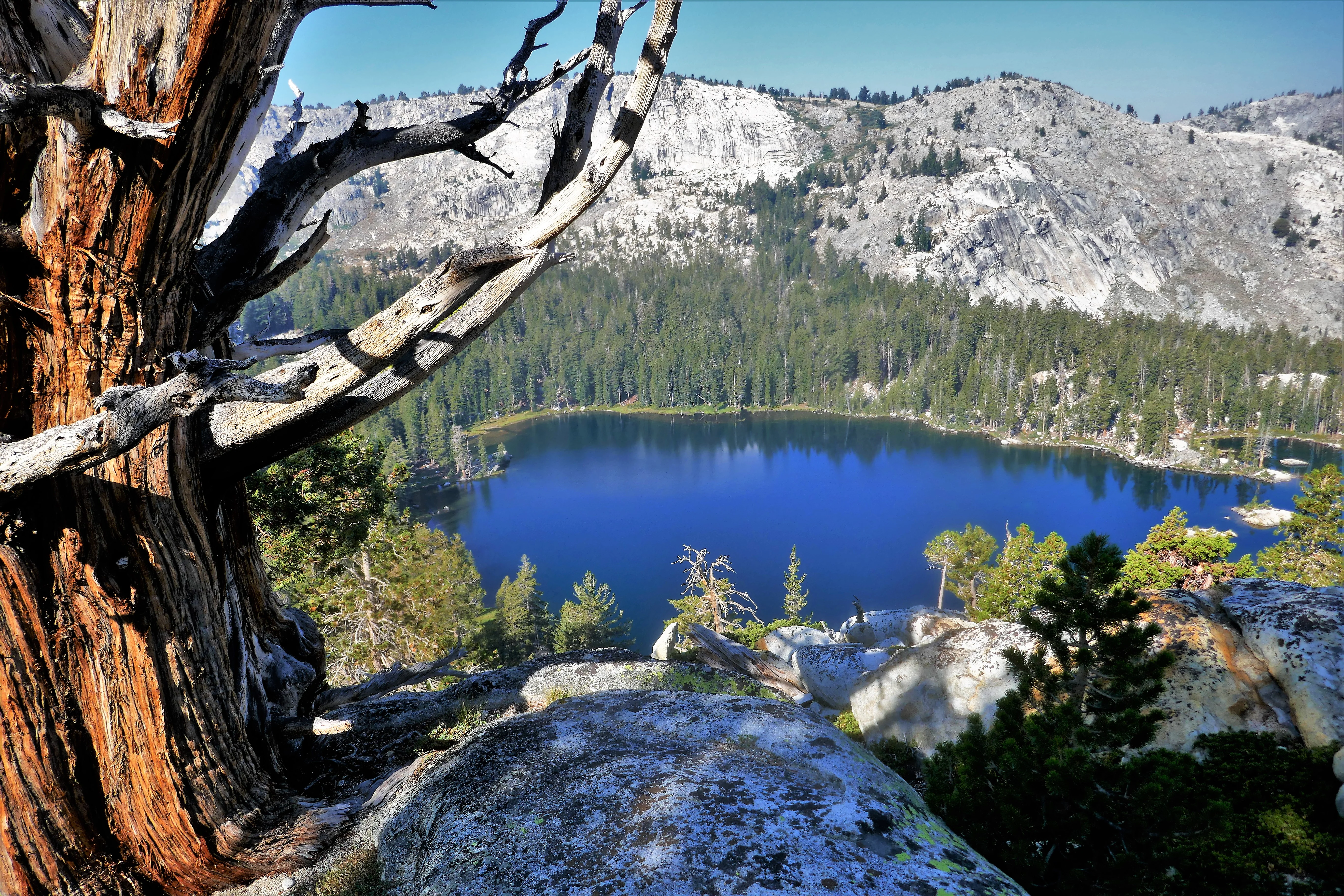 Backpacking Yosemite: Ten Lakes - Image 14