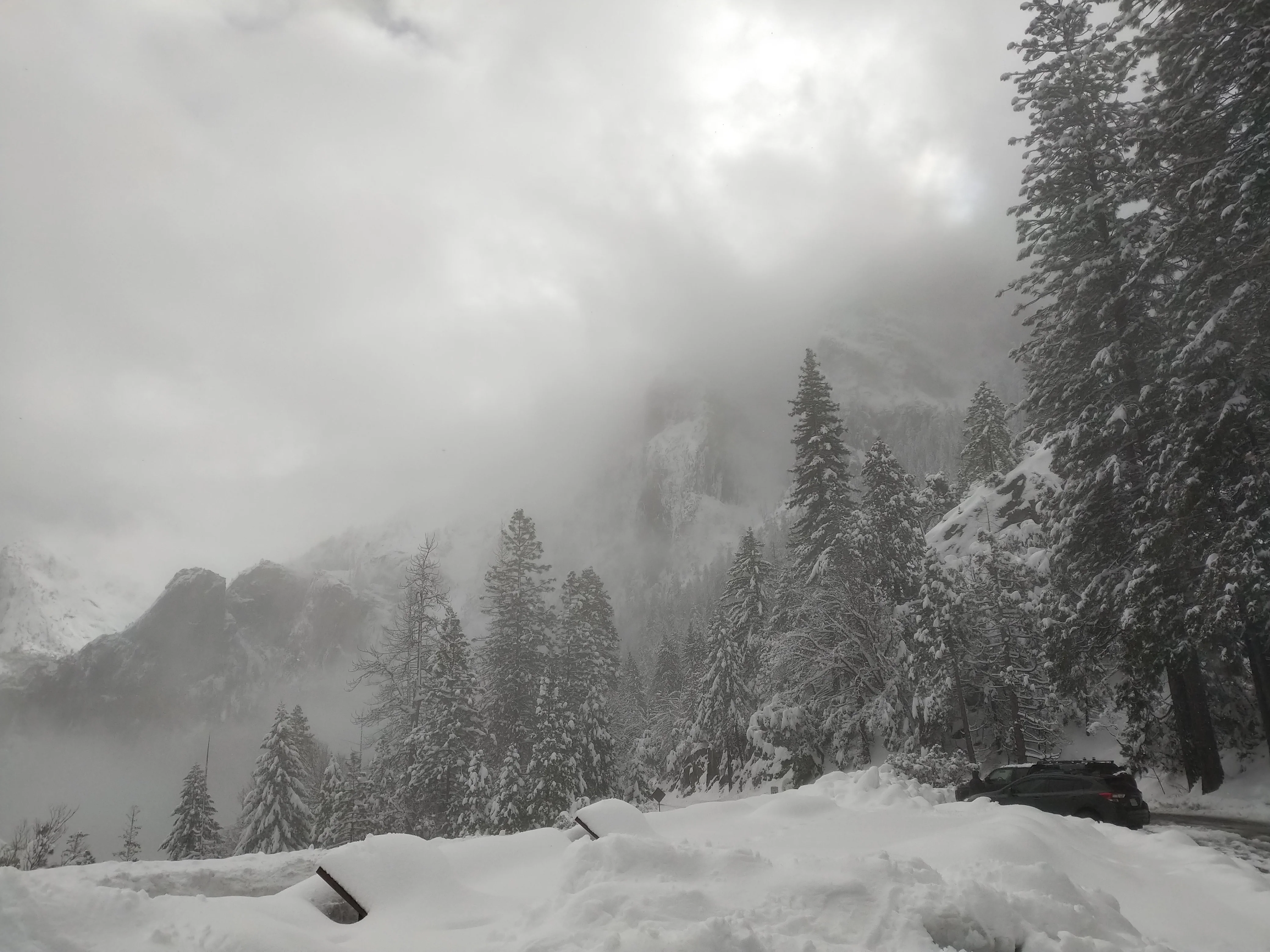 Snowshoeing Yosemite: Tuolumne Grove/Gin Flat Weekend - Image 18