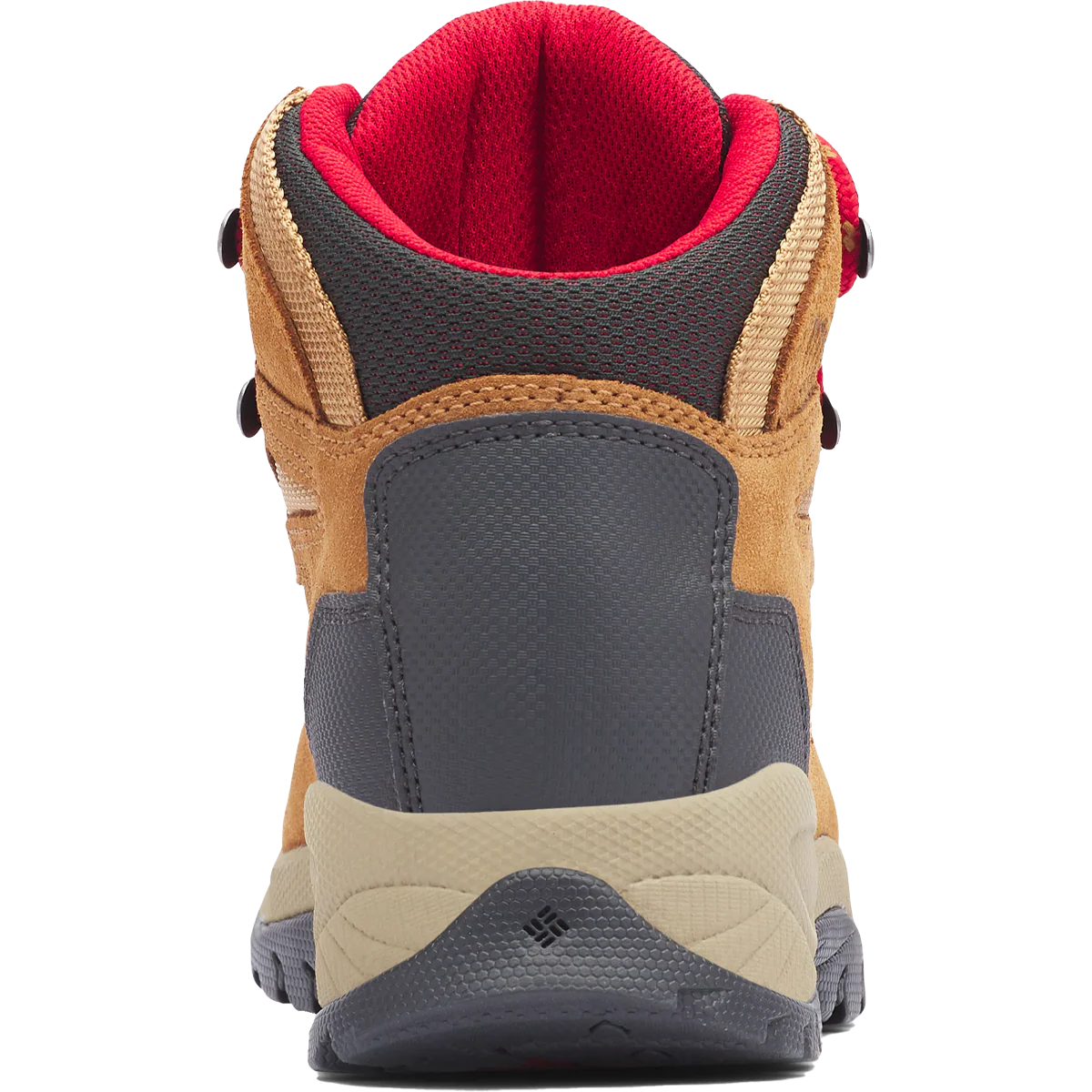 Women's Newton Ridge Plus Waterproof Amped - Wide - Image 6