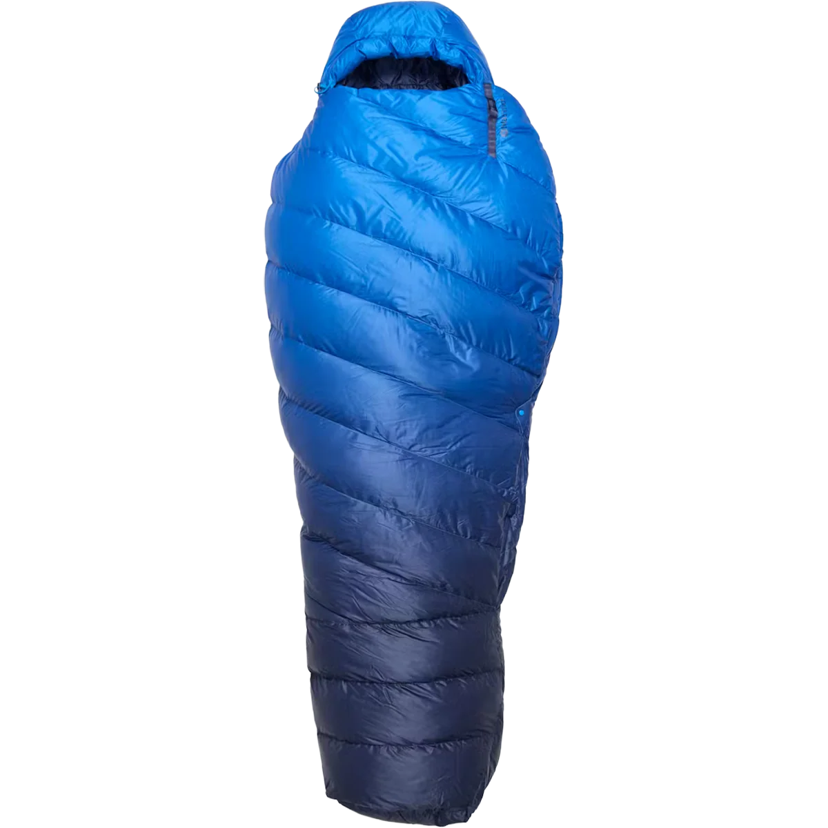 Wraptor 15 Down Short