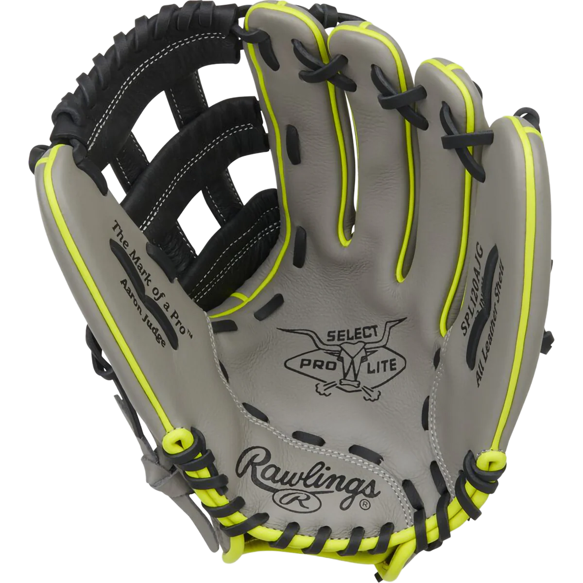 Youth Select Pro Lite Judge 12" H-Web - Image 2