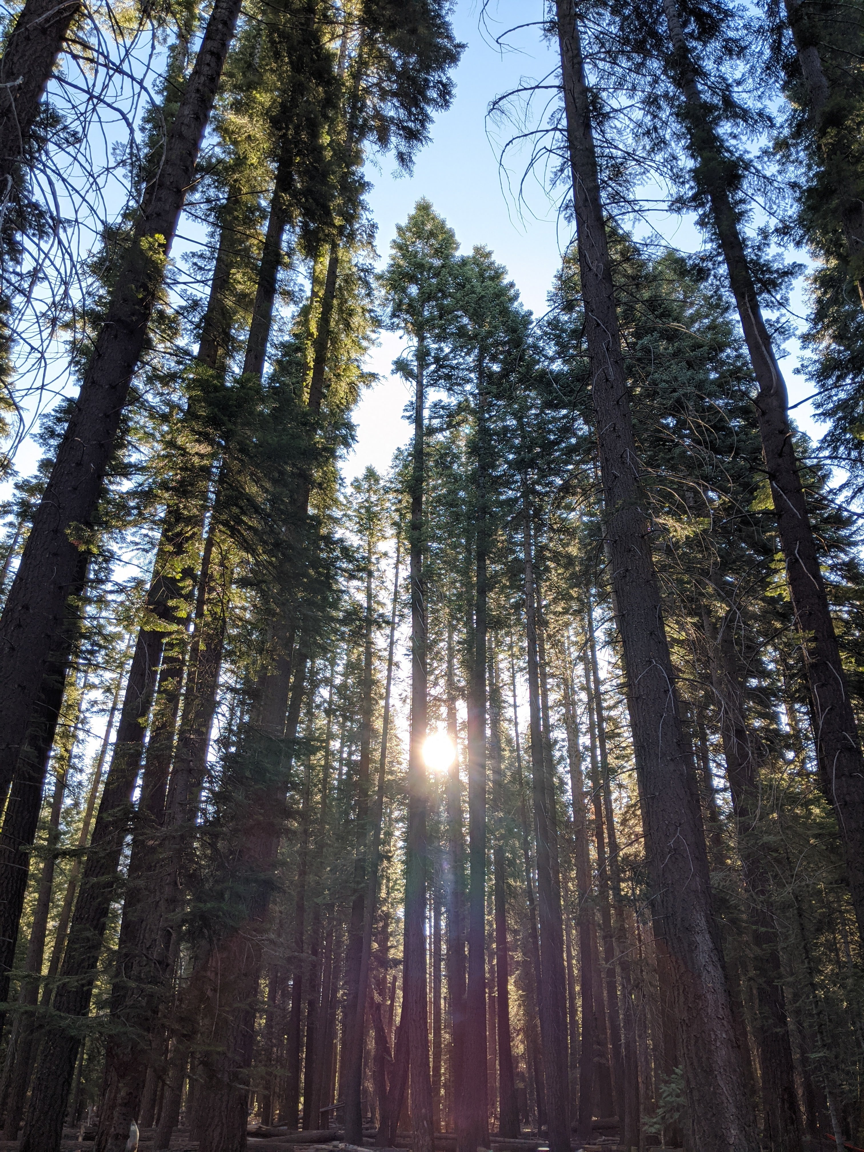 Backpacking Yosemite: Half Dome (3 Day) - Image 50
