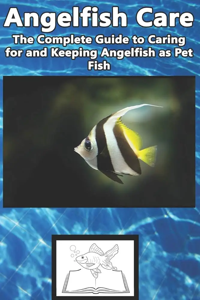 The Complete Guide To Keeping Angelfish Freshwater Aquarium
