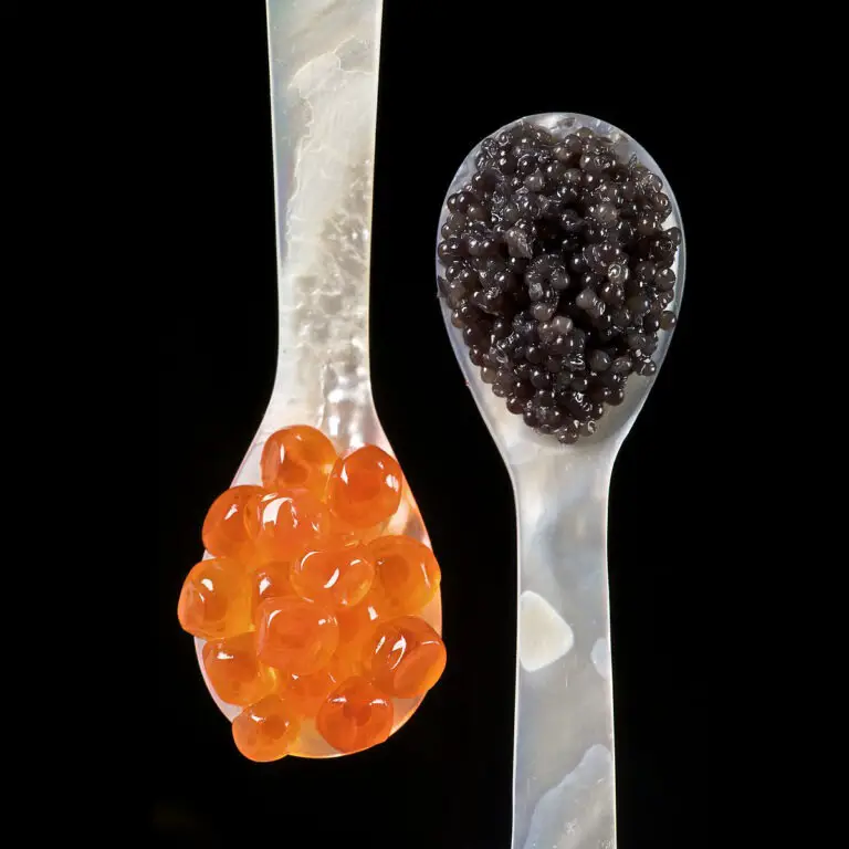 What Is Fish Roe? Exploring The World Of Fish Roe: Types, Flavors, And Nutritional Benefits
